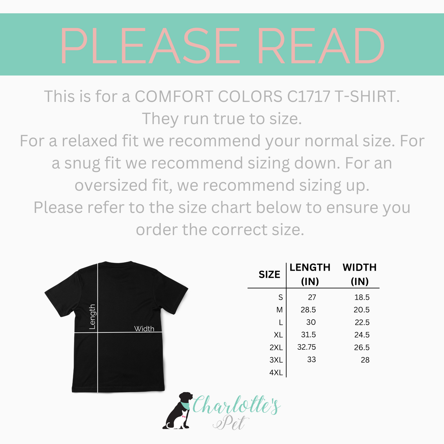 Cat Skeleton Colorblast T Shirt