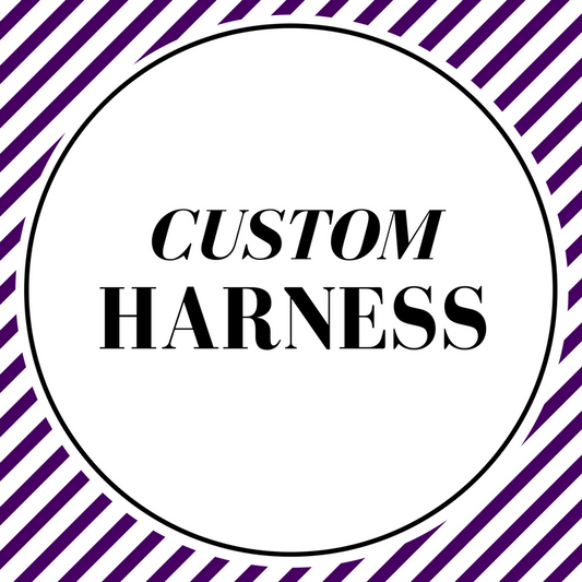 Custom Harness - Charlotte's Pet