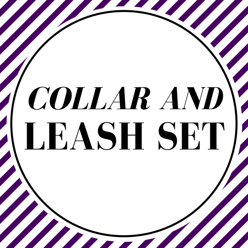 Matching Collar and leash Set - Charlotte's Pet