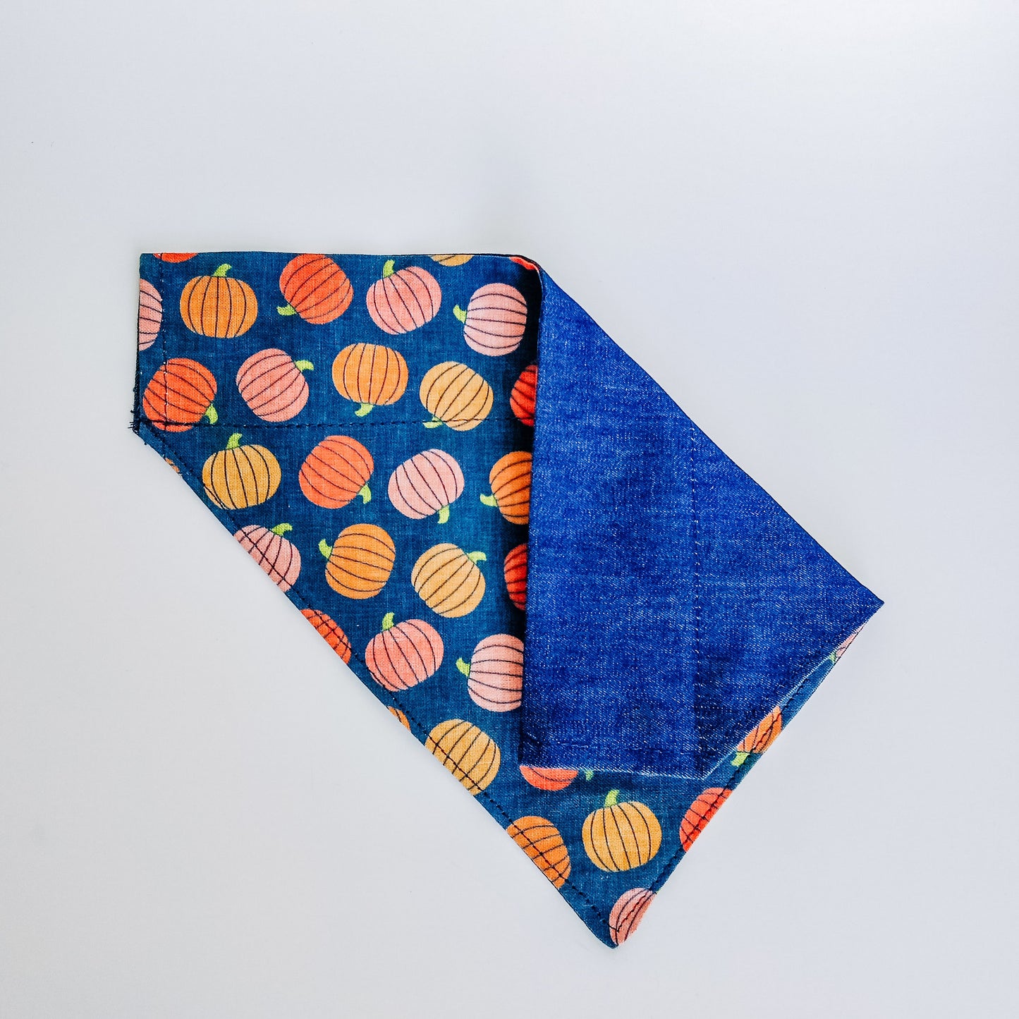 Pumpkin Fields Dog Bandana & Cat Bandana