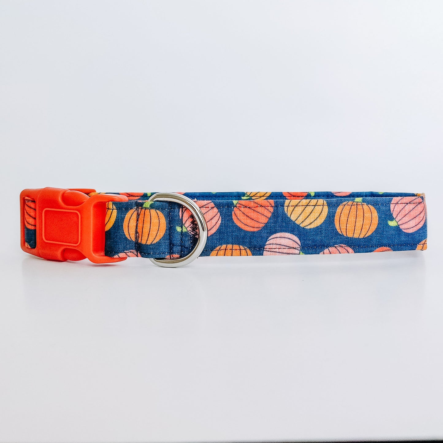 Pumpkin Fields Dog Collar/ Cat Collar