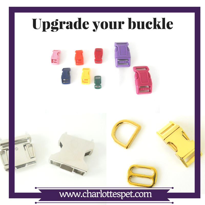 Paint Strokes Dog Collar/ Cat Collar