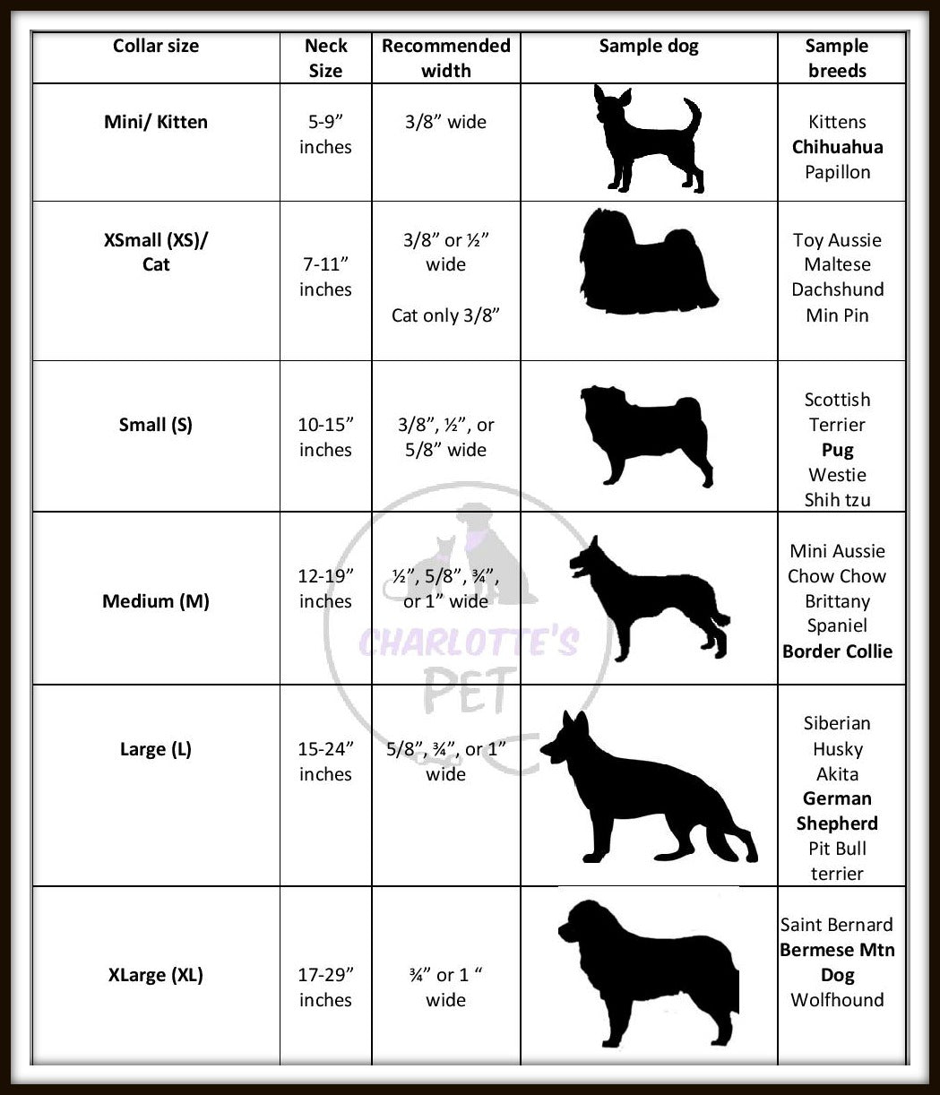 Paint Strokes Dog Collar/ Cat Collar