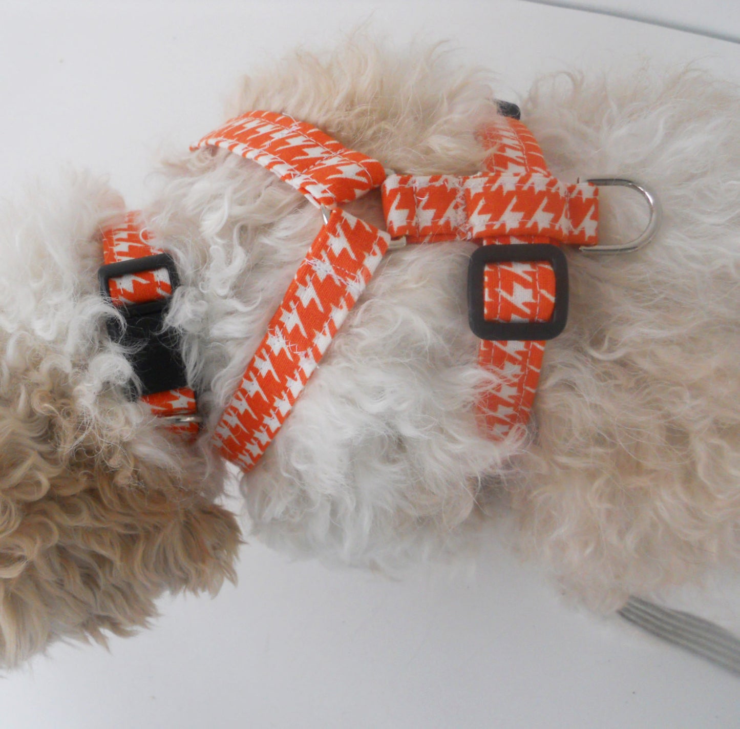 Black and White Harness - Charlotte's Pet