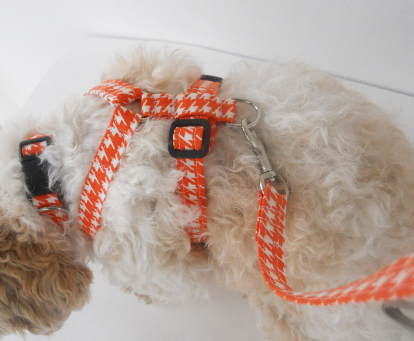 Orange collar, leash, and harness set - Charlotte's Pet