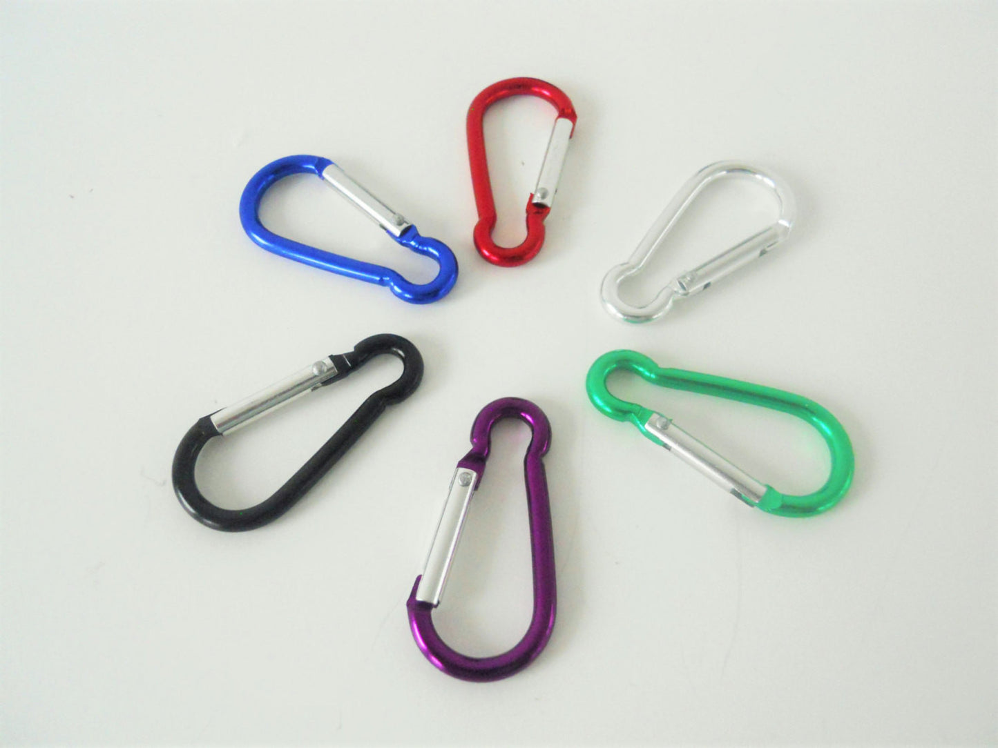 Watermelon Slices Waste Bag Holder - Charlotte's Pet