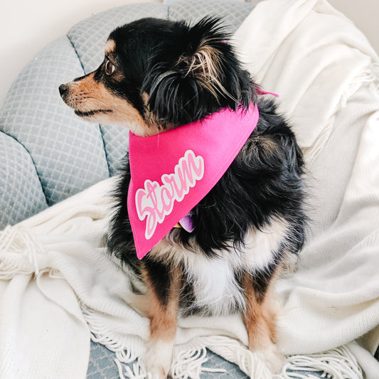 Doll Name Dog Bandana/ Cat Bandana