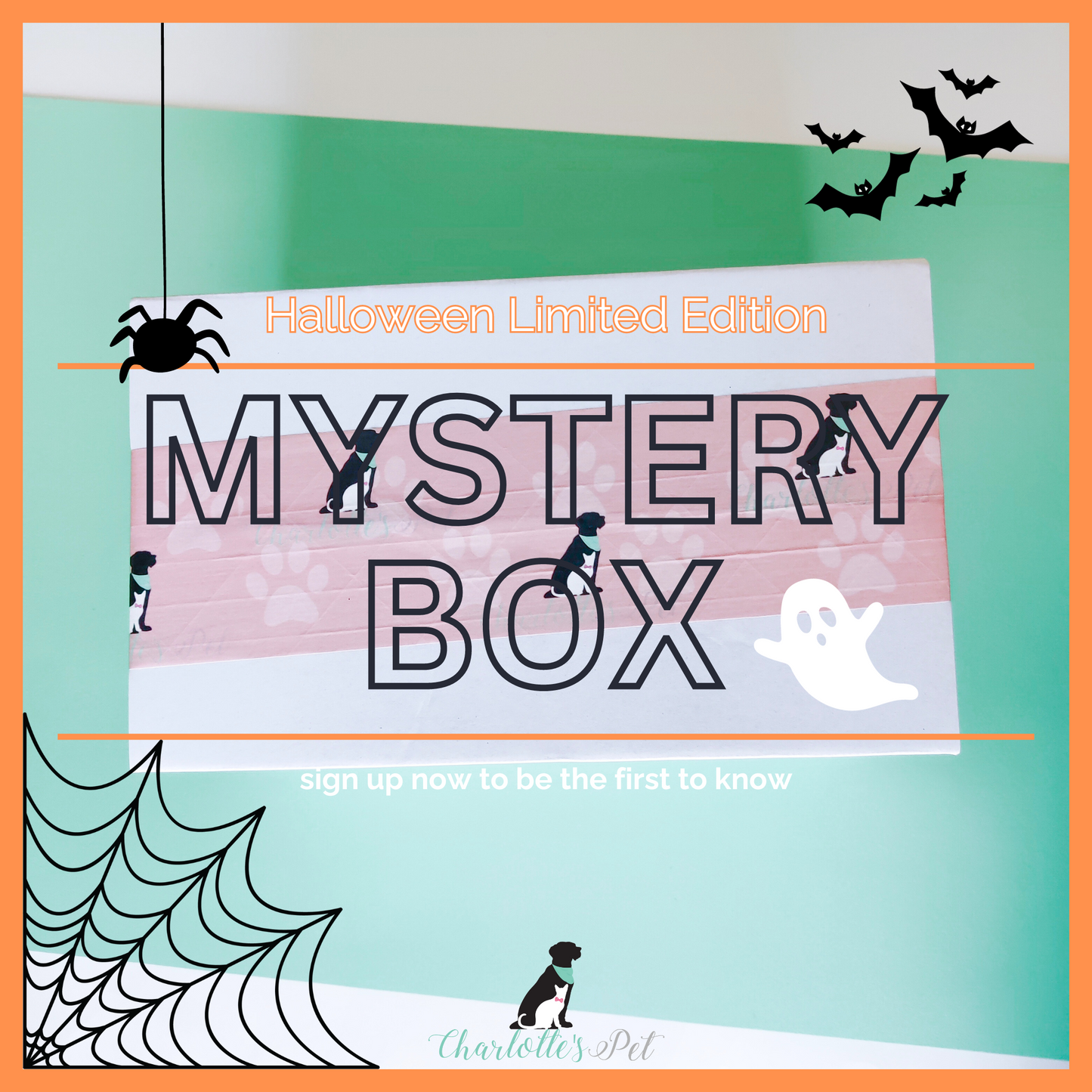 Halloween Mystery Box