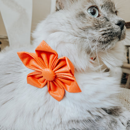 Orange Glitter Dog & Cat Bow Tie/Collar Flower