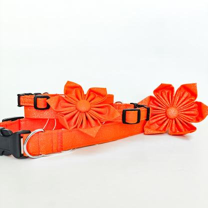 Orange Glitter Dog Collar/ Cat Collar