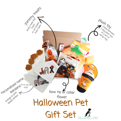 Halloween Pet Gift Set