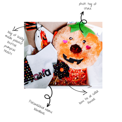 Halloween Pet Gift Set