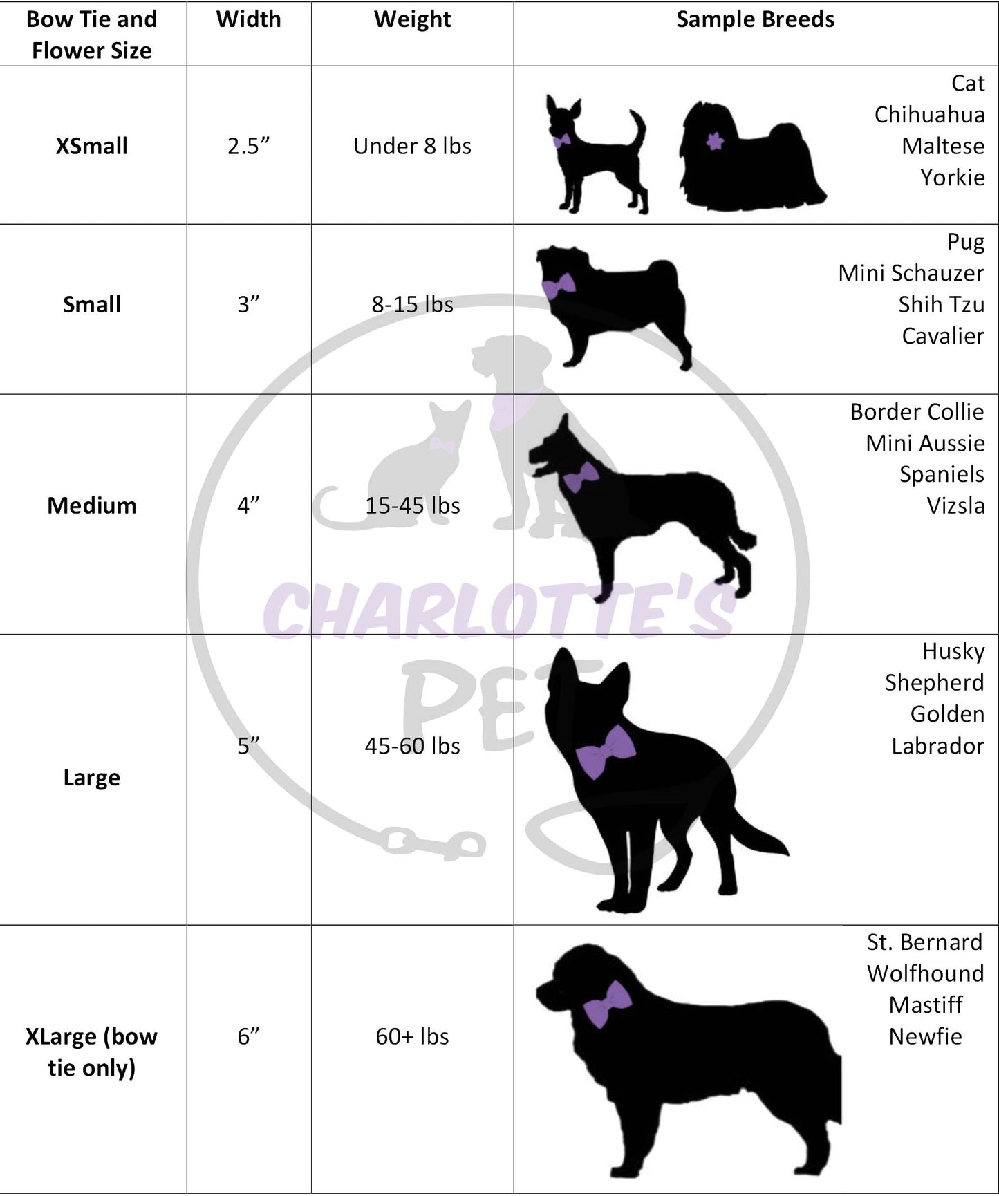 Purple Bow Tie/Flower - Charlotte's Pet