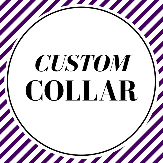 Custom/Matching Collar - Charlotte's Pet
