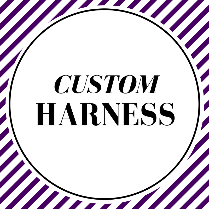 Custom Harness - Charlotte's Pet