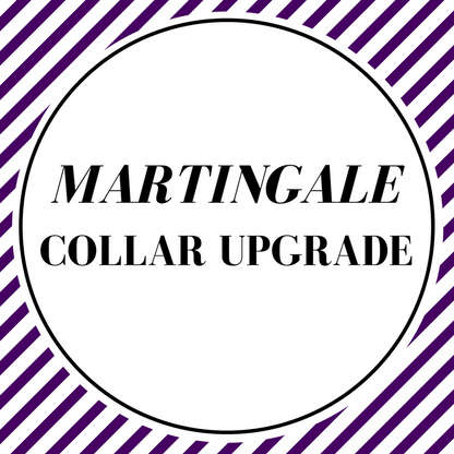 Martingale Collar Upgrade - Charlotte's Pet