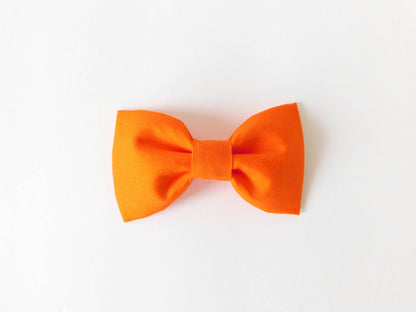 Orange Bow Tie/Flower - Charlotte's Pet