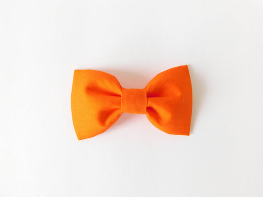 Orange Bow Tie/Flower - Charlotte's Pet