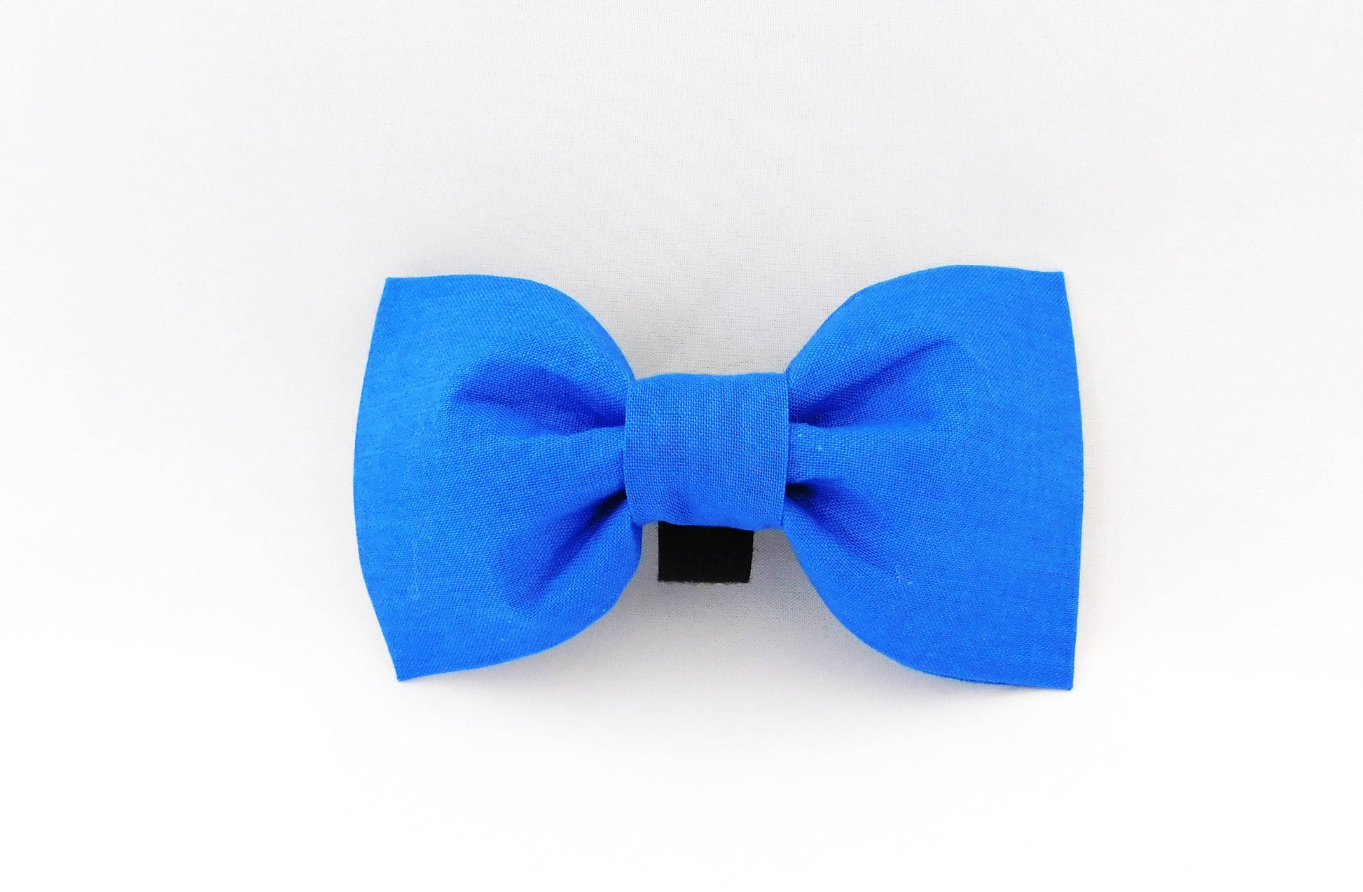 Blue Bow Tie/Flower - Charlotte's Pet