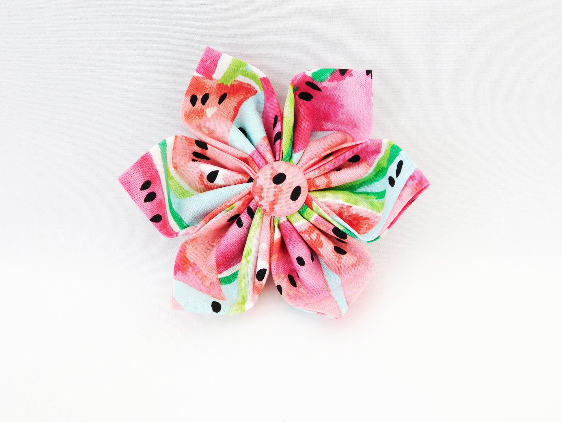 Watermelon Slices Bow Tie/Flower - Charlotte's Pet