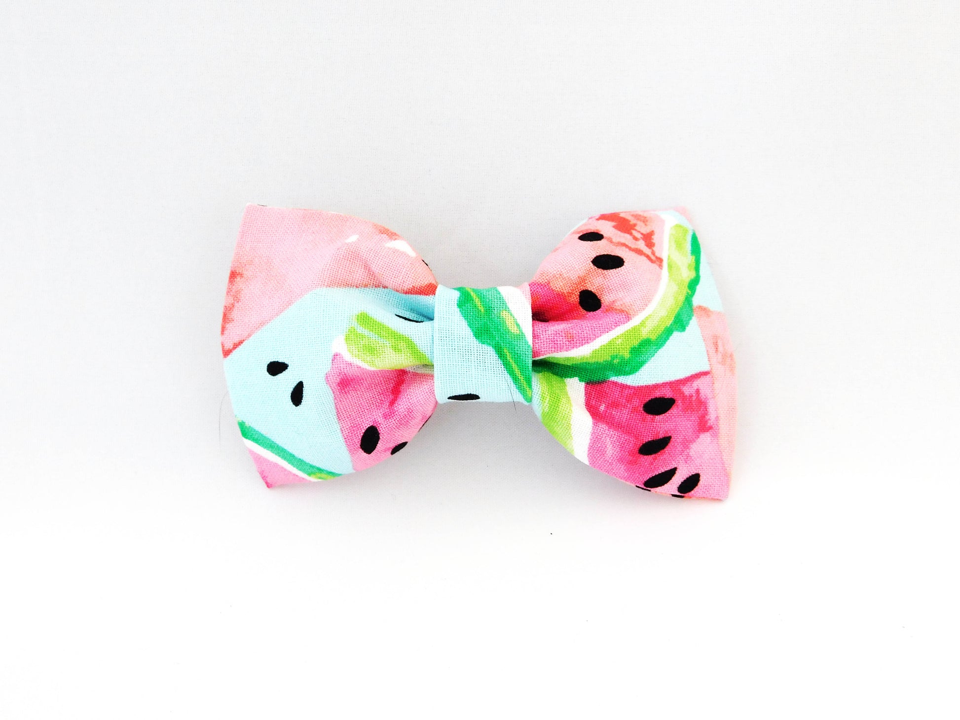 Watermelon Slices Bow Tie/Flower - Charlotte's Pet