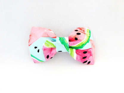 Watermelon Slices Bow Tie/Flower - Charlotte's Pet