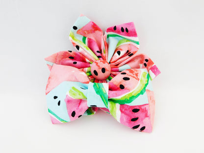 Watermelon Slices Bow Tie/Flower - Charlotte's Pet