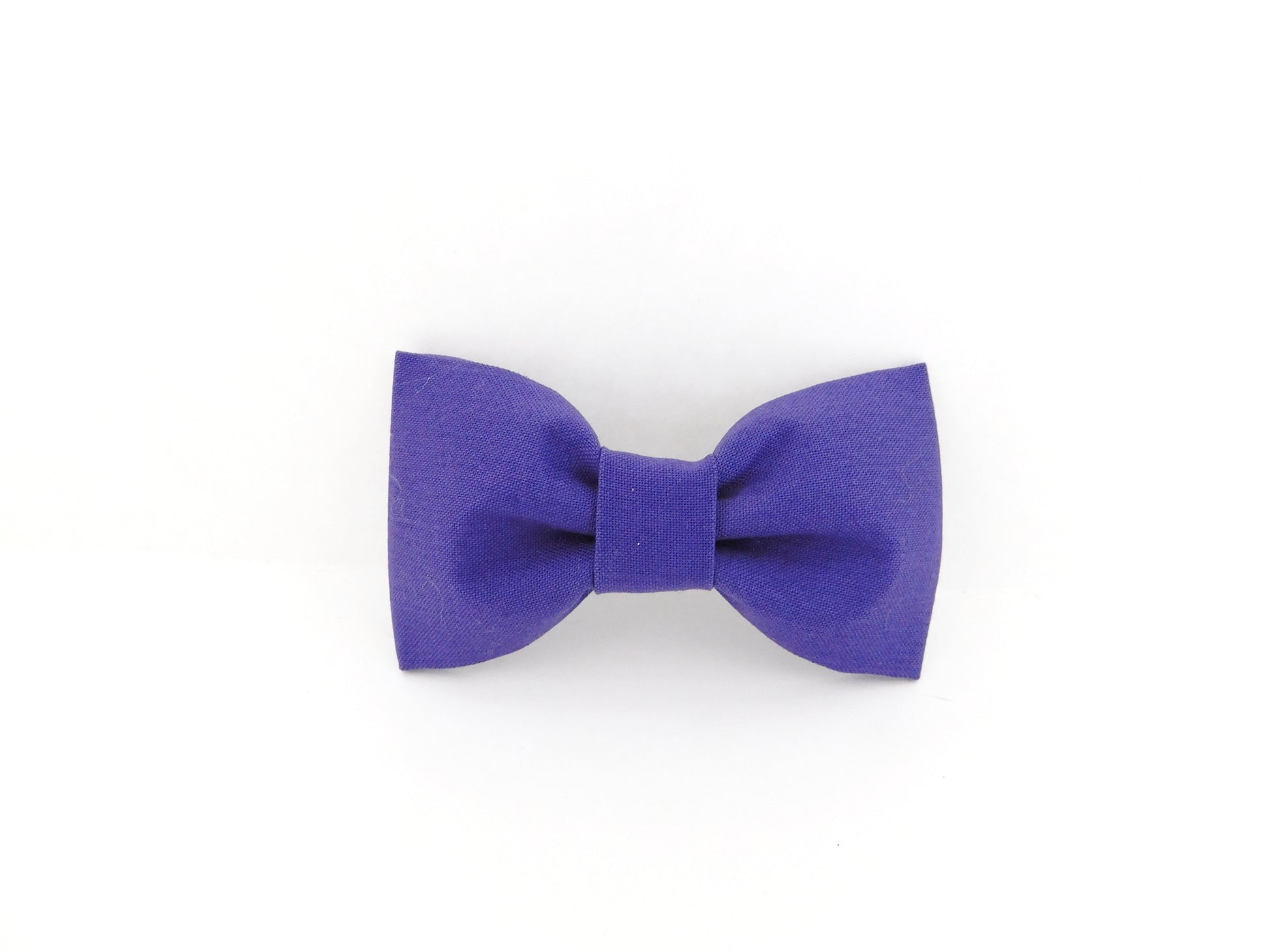 Purple Bow Tie/Flower - Charlotte's Pet