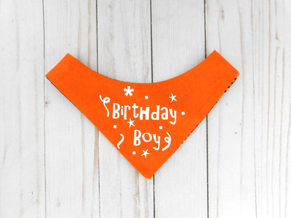 Birthday Bandana - Charlotte's Pet