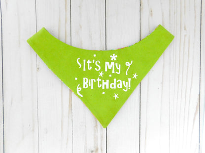 Birthday Bandana - Charlotte's Pet
