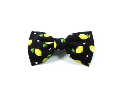 Black Lemons Dog Bow Tie/Collar Flower - Charlotte's Pet