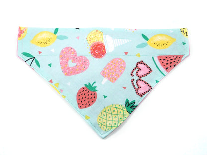 Summer Days Dog Bandana - Charlotte's Pet