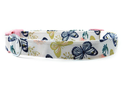 Butterflies of Summer Dog Collar/ Cat Collar - Charlotte's Pet