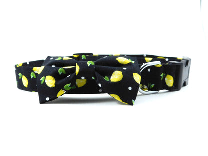 Black Lemons Dog Collar/ Cat Collar - Charlotte's Pet