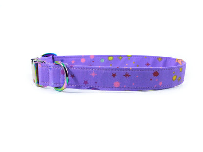 Birds of Summer in Purple Dog Collar/ Cat Collar - Charlotte's Pet