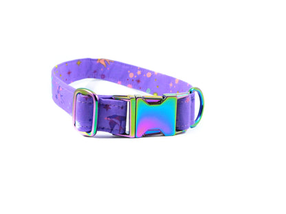 Birds of Summer in Purple Dog Collar/ Cat Collar - Charlotte's Pet