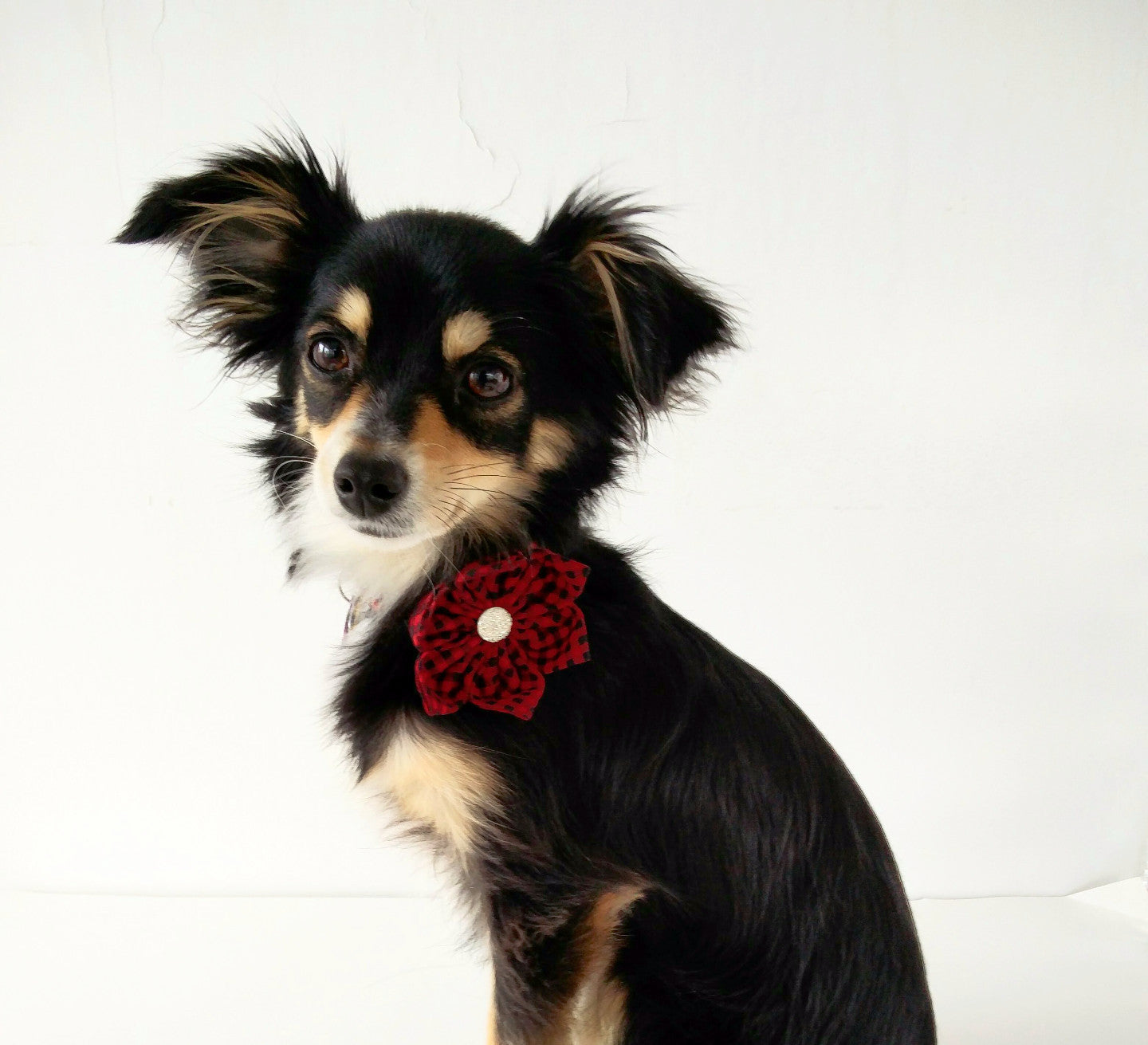 Red Buffalo Plaid Bow Tie/Flower - Charlotte's Pet