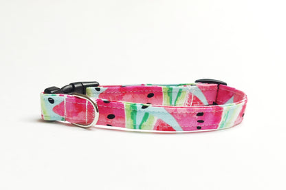 Watermelon Slices Dog Collar/ Cat Collar