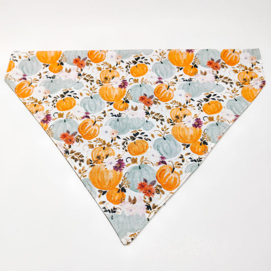 Harvest Pumpkins Dog Bandana & Cat Bandana