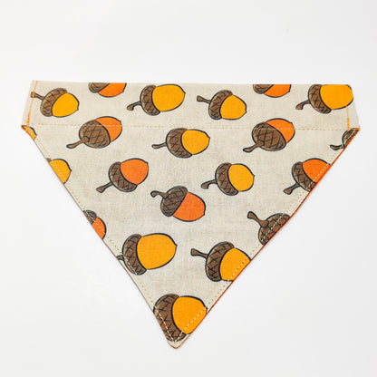 Acorns Dog Bandana & Cat Bandana