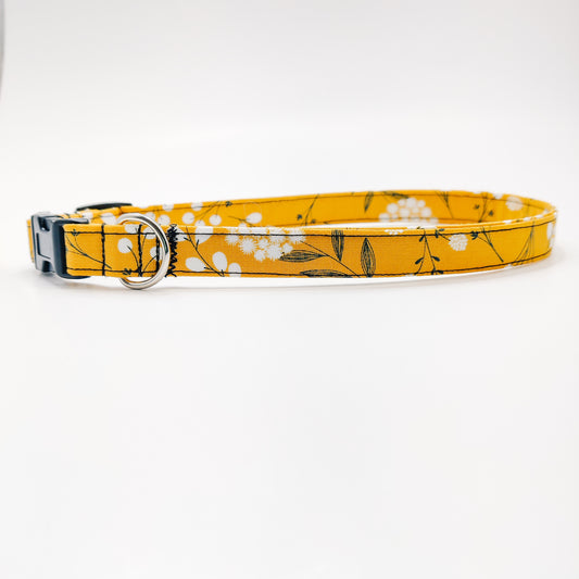 Golden Stems Dog Collar/ Cat Collar