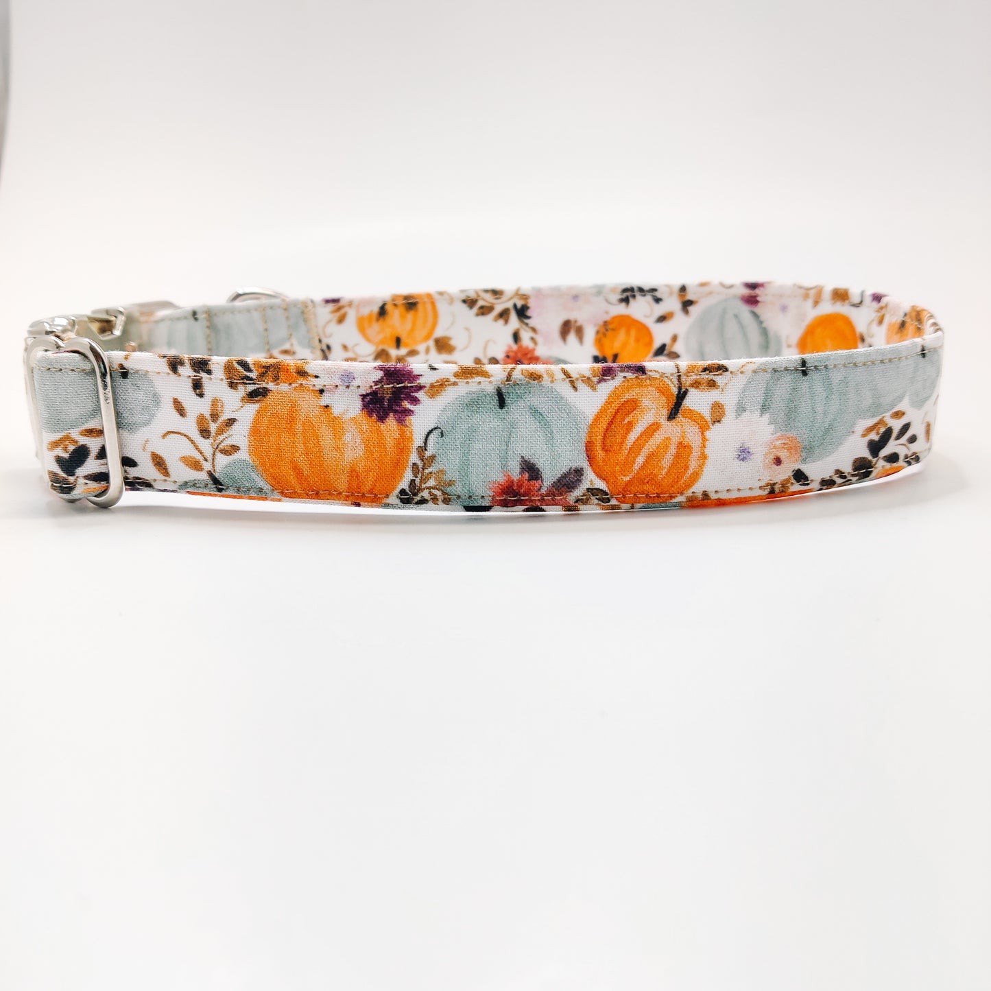 Harvest Pumpkins Dog Collar/ Cat Collar