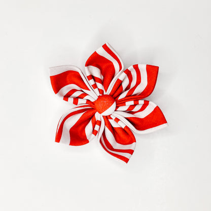 Peppermint Stripe Dog & Cat Bow Tie/ Collar Flower