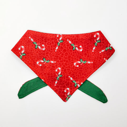 Candy Cane Crinkle Dog Bandana & Cat Bandana