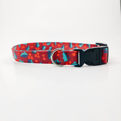 Holly on Red Dog Collar/ Cat Collar