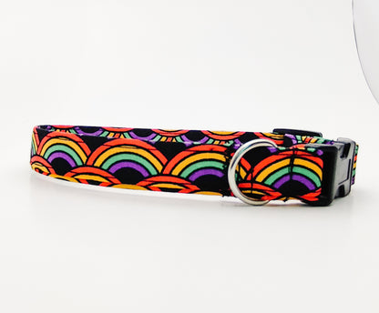 Rainbow on Black Dog Collar/ Cat Collar
