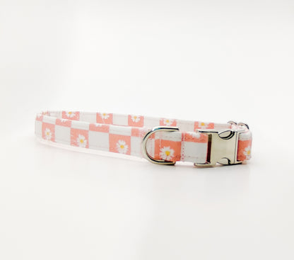 Pink Daisy Checker Dog Collar/ Cat Collar