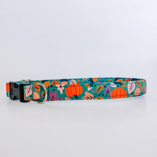 Fall Pumpkins Dog Collar/ Cat Collar