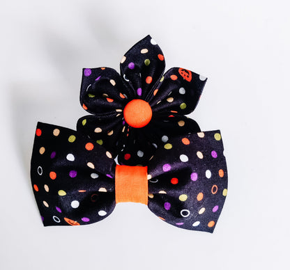 Halloween Pet Gift Set