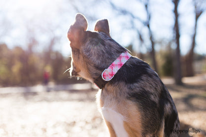 Red and Pink Plaid Collar - Charlotte's Pet